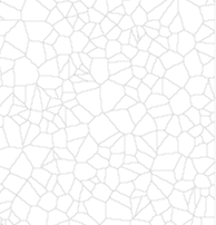 ShakeMap Intensity Thumbnail